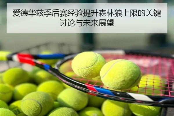 爱德华兹季后赛经验提升森林狼上限的关键讨论与未来展望